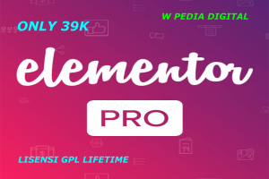 ELEMENTOR PRO LIFETIME LISENSE (GNU GPL LISENSE)