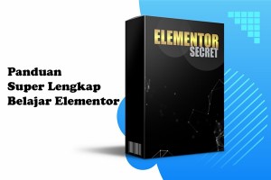 Elementor Secret