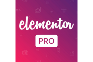 Elementor Pro Original License Untuk 2 Tahun