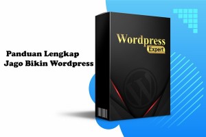 Wordpress Expert