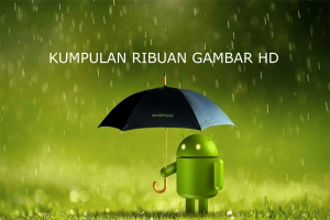 KUMPULAN 5000++ GAMBAR BERKUALITAS HD