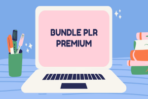 BUNDLE 40+ PLR PREMIUM