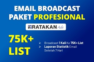 Email Broadcast Ads Paket PROFESIONAL