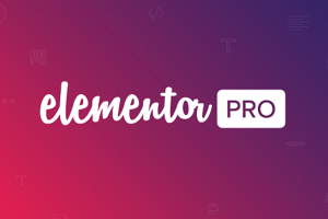 Jasa Instalasi Elementor Pro Lisensi Original
