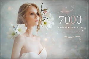 Paket 7000+ Professional LUTs - Eldamar Studio