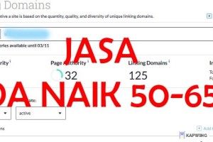 JASA MENAIKKAN DA 55+ Garansi Uang kembali jika Gagal Naik