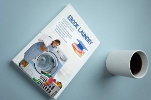 Ebook Laundry