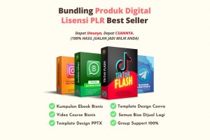 BUNDLING PAKET BISNIS ONLINE SUPER LENGKAP LISENSI PLR