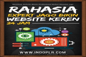 Jago Website Keren PLR dapat Dijual Ulang Rahasia Expert Dalam 24 Jam