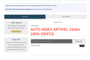 [Tools Auto Index Artikel 24Jam] GRATIS By Api Indexing Google