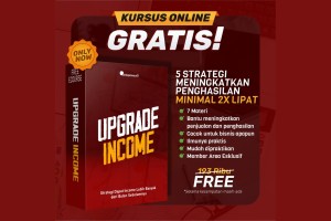 upgrade income
