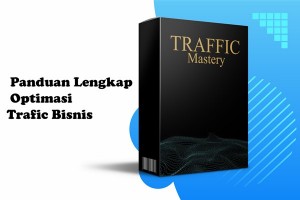 Traffic Mastery