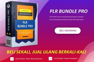 PLR BUNDLE PRO