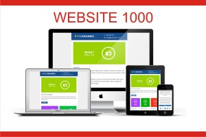 Jasa Website Developer 1000, komplit domain hosting desain