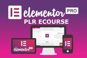 PLR ECOURSE ELEMENTOR PRO