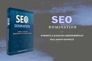 SEO Domination