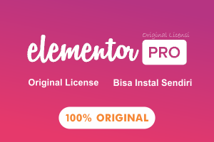 Plugin Elementor Pro Original Bisa Instal Sendiri